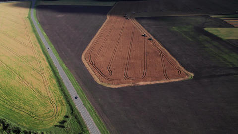 Combine harvesting: aerial view of agricultural machine collecting golden ripe