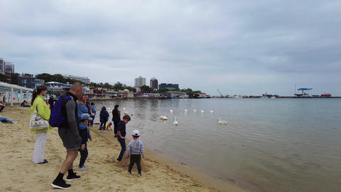 People rest on the sandy shore of the Black Sea next to white swans. 0167 1