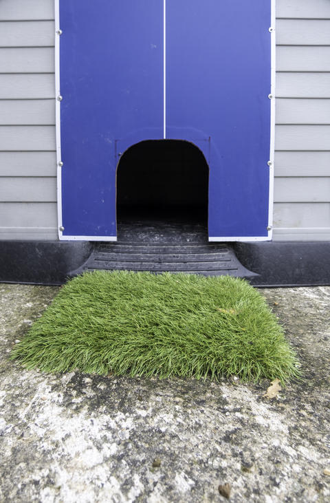 Doghouse on the street