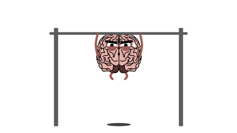 Human Brain Doing Pull Ups Exercise, Bod 애니메이션 GIF 27701774 ...