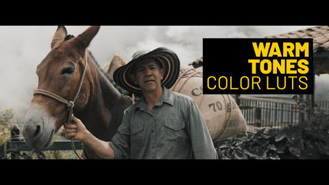 Warm Tones LUTs