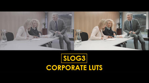 Slog3 Corporate and Standard LUTs