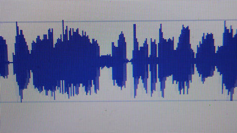 Sound Record