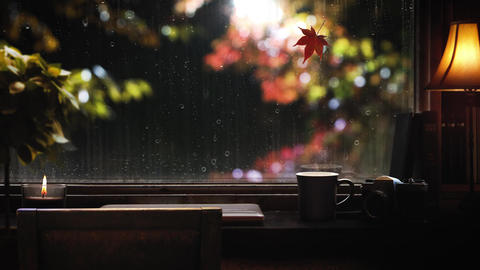 Autumn rain falling outside the window, flowing raindrop GIF 28221118 ...
