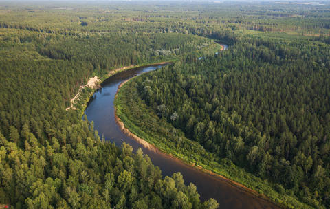 River and Forest