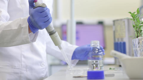 Young scientist or researcher woman developing new bio, ecological cosmetics