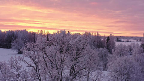 Cold Winter Morning