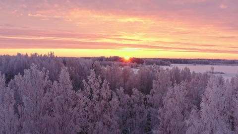 Aerial View of Forest at Winter Sunrise
