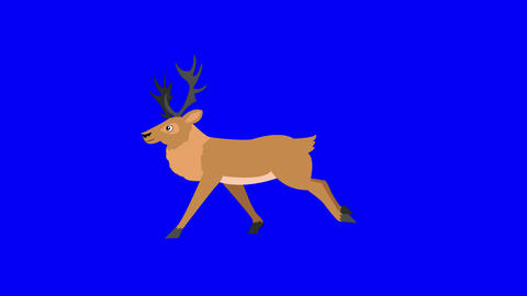 Animated Santa Claus Deer Run Animated GIF 30197642 | MotionElements