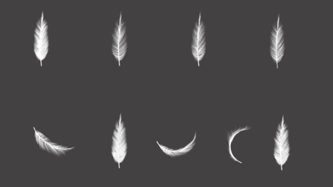[PSD] 9 types of feather materials 그래픽 템플릿 28919207 | MotionElements
