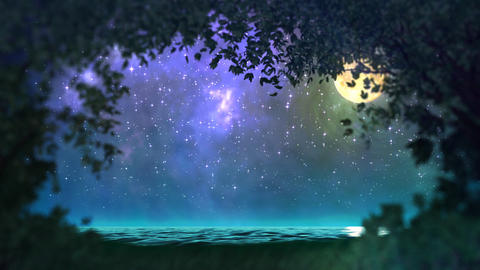 Night forest loop