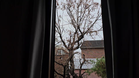 a window, a landscape