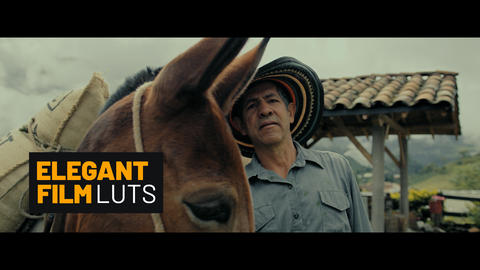 Elegant Film LUTs