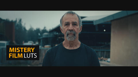 Mistery Films LUTs