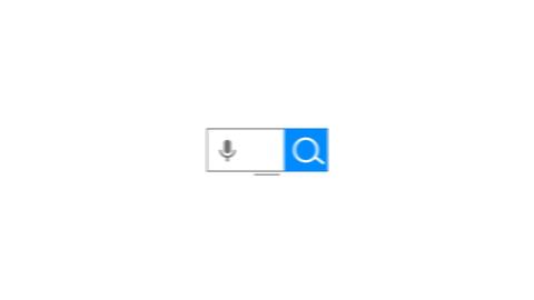 Search Logo Animation