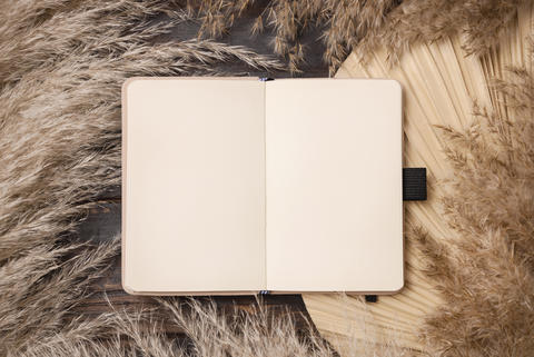 Opened Hardcover texbook on dry beige palm leaf near pampas gras