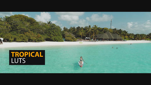 Tropical LUTs