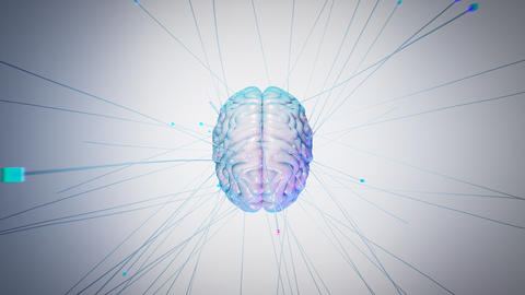 Translucent brain with neural connections and sp Stock photo 29357708 ...