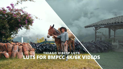 Film Looks for BMPCC4K/BMPCC6K Pro Gen4/5 Videos After Effects Template 4k