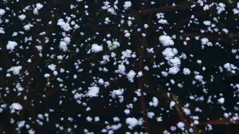 Frozen Pond Surface with Snow and Crystals