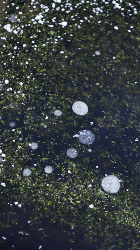 Ice Texture with Bubbles and Snow
