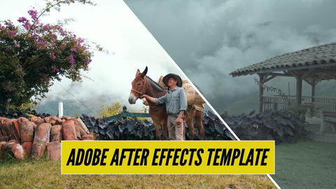 Color Pack for BMPCC After Effects Template 4k Videos