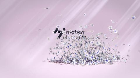 Jasmin flower logo reveal