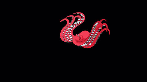 Octopus swims underwater alpha animation 4K GIF 31032940 | MotionElements