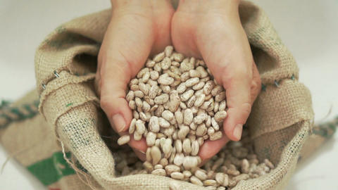 Beans Falling Through Fingers into Bag