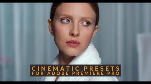 Premiere Pro effect preset