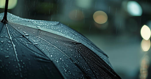 Weather