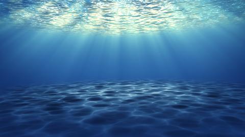 A Glimpse of Sunlight in the Deep Blue Sea. This underwater video captures a moment of tranquility