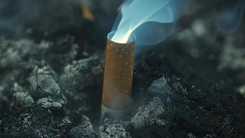 what foods help with cigarette cravings Foods to eat can reduce cigarette cravings for smokers
