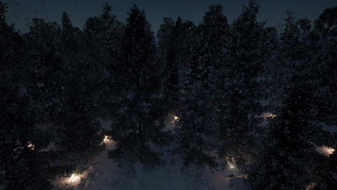 003 Stock Forest Snow