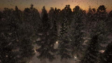 001 Stock Forest Snow LOOP