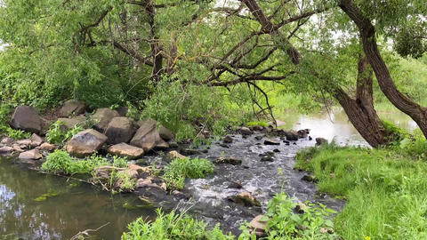 Forest Waterfall 2