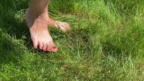 Walking Barefoot on Green Grass 2