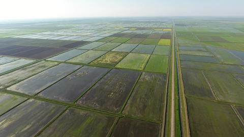 Top view of rice fields in spring. system of rice fields is filled with water