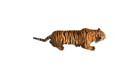 ◉美品◉ALPHA◉MA-1◉BACK FLYING A TIGER Stock animation
