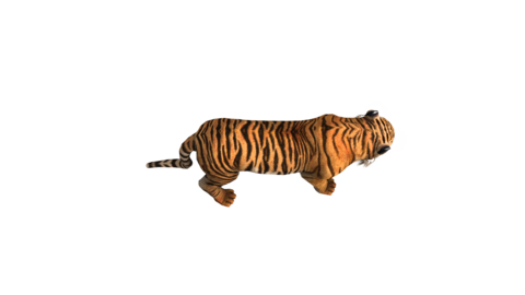 ◉美品◉ALPHA◉MA-1◉BACK FLYING A TIGER JXK 1/12 Half-crouched Tiger Model – Lana Time Shop