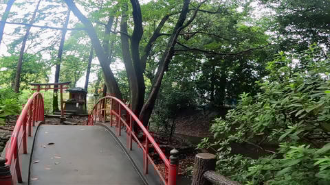 中世の橋 工事中の新潟万代橋 文化遺産オンライン