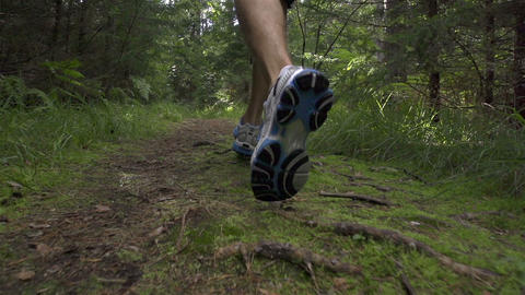 SLOW MOTION: A young couple jogging in the forest