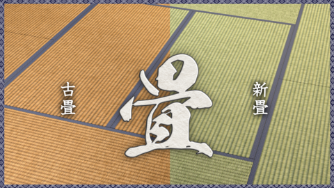 Tatami