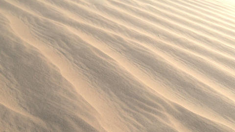Windy desert