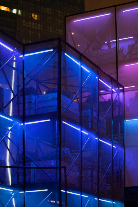 Futuristic Glass Greenhouse with Neon Light