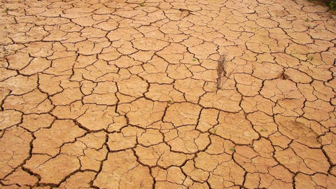 Dry soil