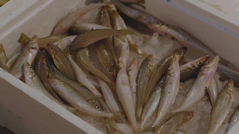 Taiwan traditional market fish stall