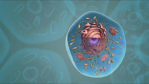 Plant Cell Animated Gif