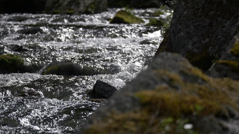 Stream course, rippling water