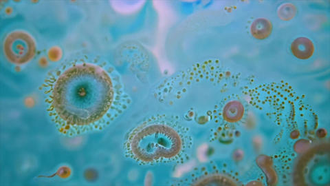 Germs Under Microscope Gif